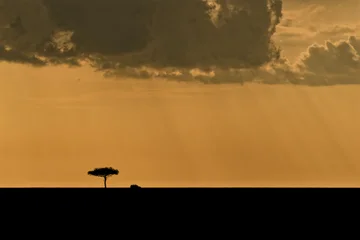 Sunset Over Masai Mara