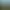 Tea plantages